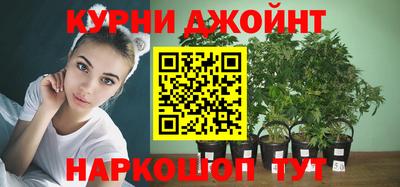 прущие грибы Мариинск