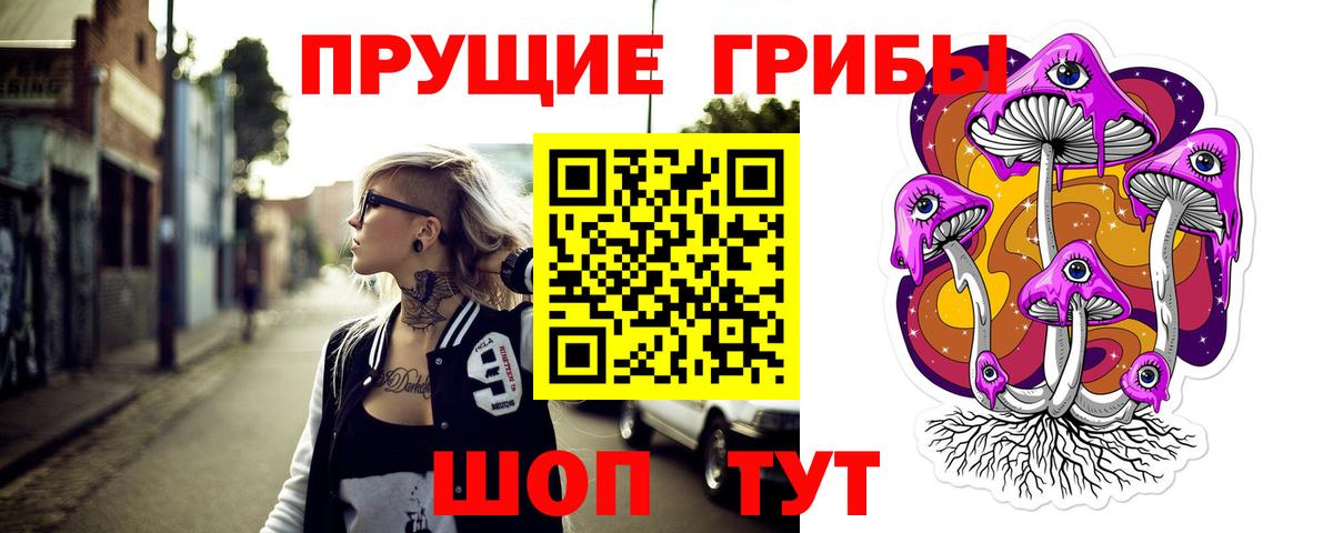 Псилоцибиновые грибы Psilocybe  Галлюциногенные грибы MAGIC MUSHROOMS  Вход с VPN  Урюпинск 